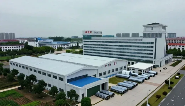 批量订单处理中的常见问题及应对策略